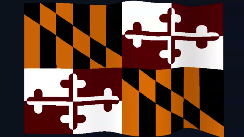 Maryland Flag Pixel Style 3D Render Animation