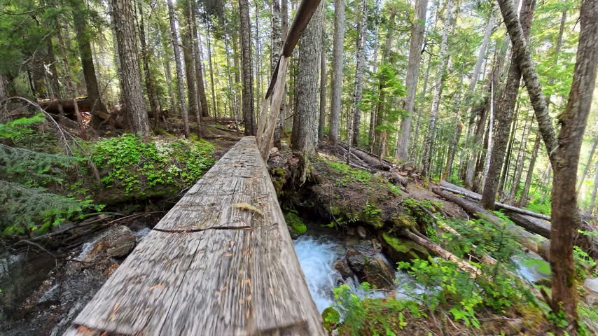 Hiking over Bridge in North Cascades National Park on the Fisher Creek Trail