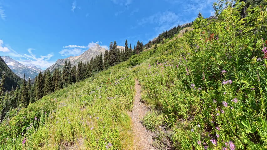 Hiking Uphill on Trail through Meadow in North Cascades National Park