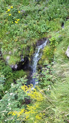 Little stream flowing in the mountains 