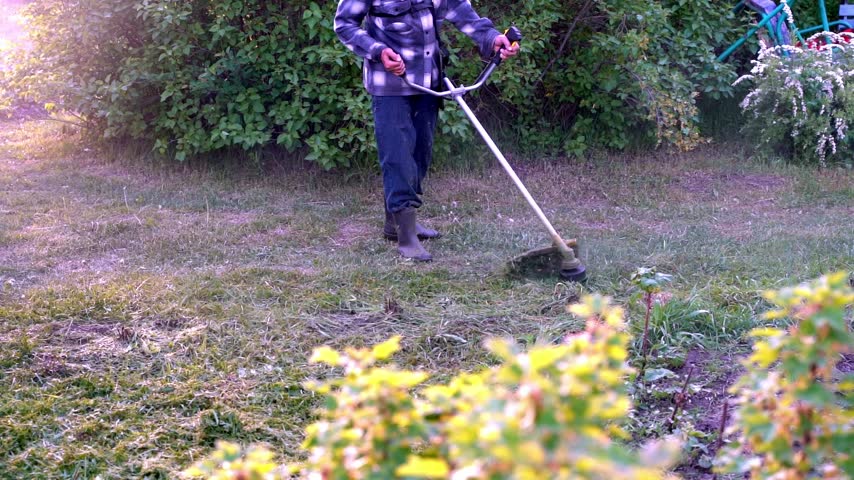 Sunlight glints off the grass as the person cuts it. They move steadily, wearing boots and a plaid shirt. Gardens and shrubs frame the scene behind them. They focus, tending to their yard with purpose