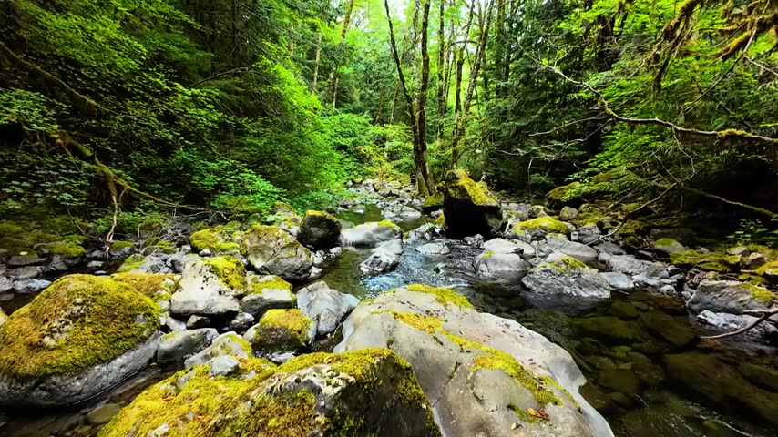 Low FPV Drone Flight Through Rocky Brook Forest Creek
