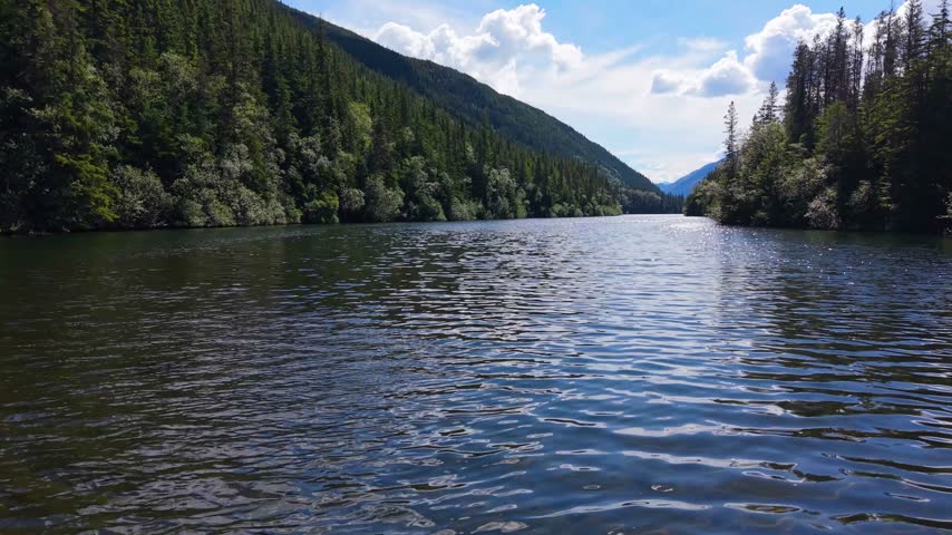 Calm Aerial Glide Across Lower Dewey Lake in Summer
