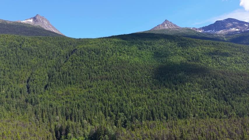 Aerial Glide Over Alaska Forest Toward Rugged Mountain Peaks
