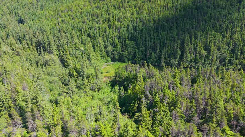 High Aerial View of Lower Dewey Lake Surrounded by Forest

