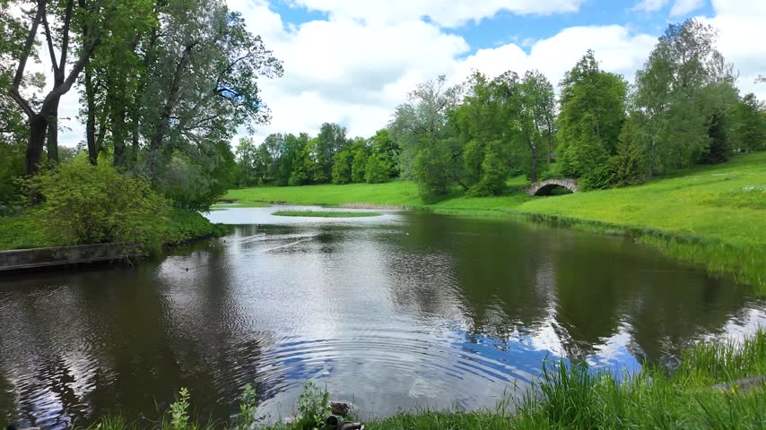 A bright, sunny day in a beautiful park. A lake, a river. Slumotion.