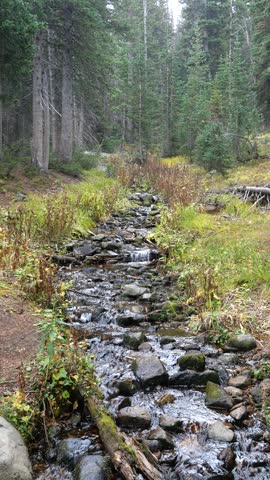 Mountain Stream with Small Cascades in Conifer Forest Near Long Lake, Colorado Rockies