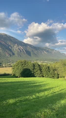 Golden hour meadow and forested mountain valley with long human shadows across vibrant green grass and dramatic cumulus sky