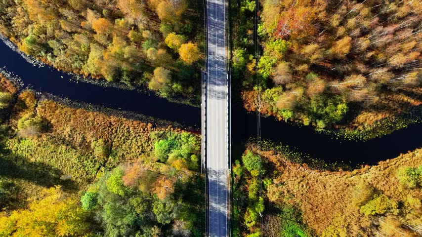 Aerial view of a bridge spanning a winding river surrounded by autumn foliage and green trees