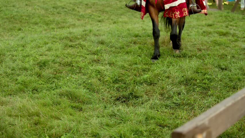 Dark horse legs step on green summer grass during festival. Red and white striped medieval caparison covers galloping animal while armored rider foot rests securely inside metal stirrup