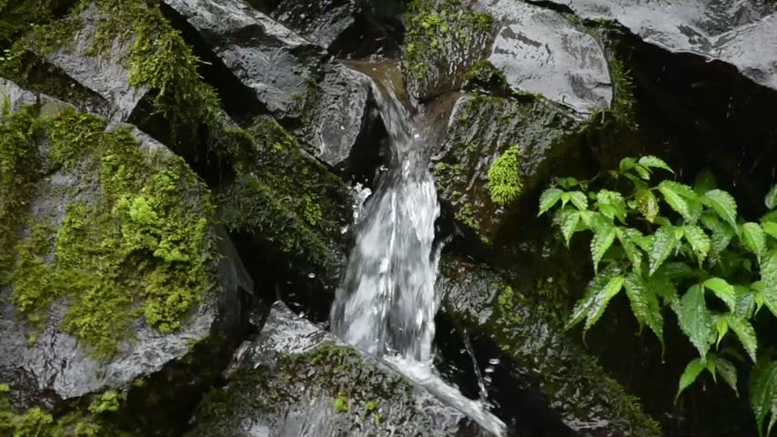 Natural Waterfall Cascading Over Moss Covered Rocks