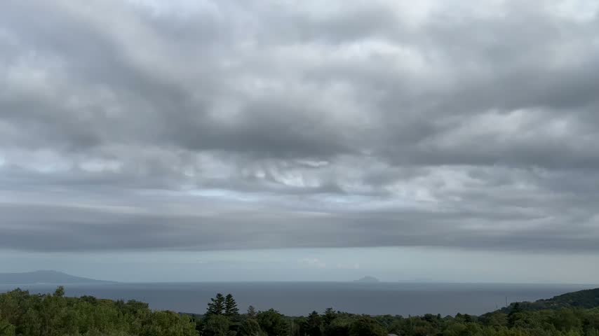 Overcast Sky Over the Ocean and Island View with Trees in Foreground.
