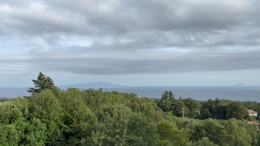 Overcast Sky Over the Ocean and Island View with Trees in Foreground.