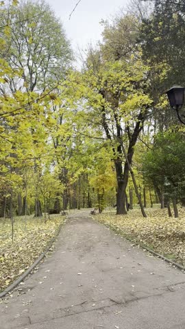 Autumn in the city park