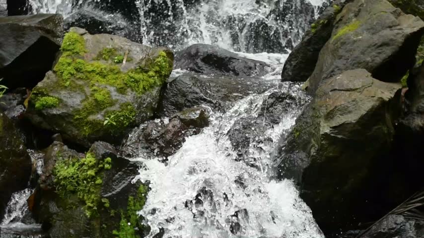 Natural Forest Stream Cascading Over Wet Rocks