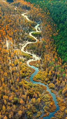 Winding river through autumn foliage with vibrant orange and green forest canopy