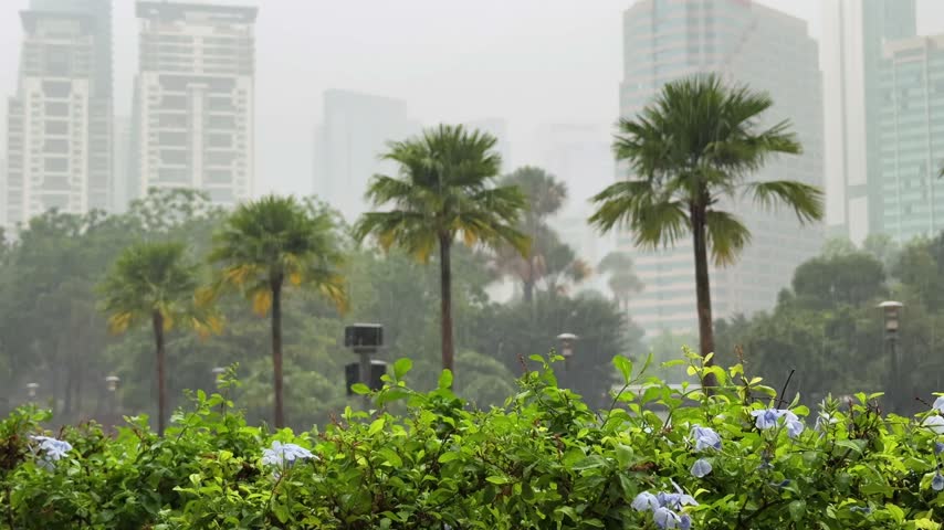 Heavy rain in Tropical City Park with Palm Trees and Skyscrapers