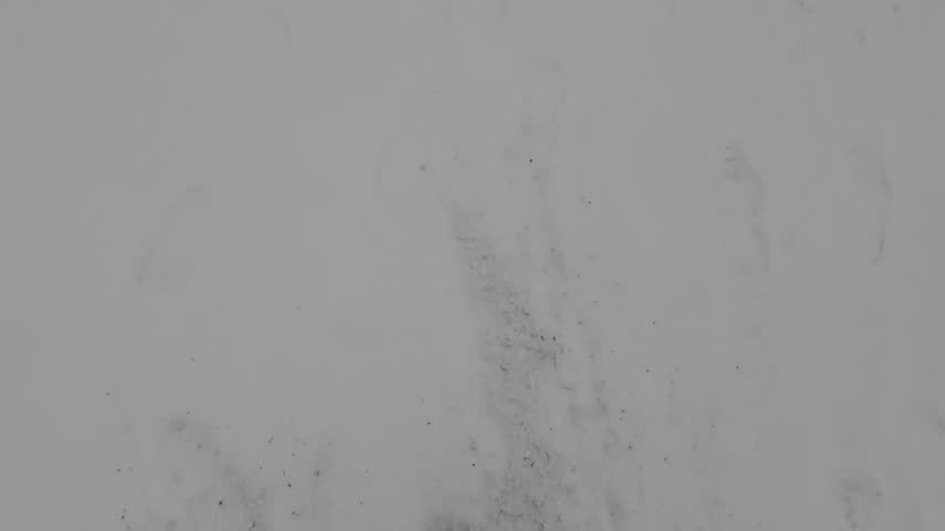 Dense gray fog obscures the landscape, creating a soft outdoor scene with very low visibility.