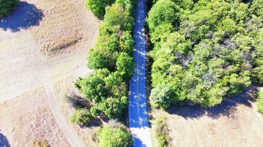 Following the road in the woods 