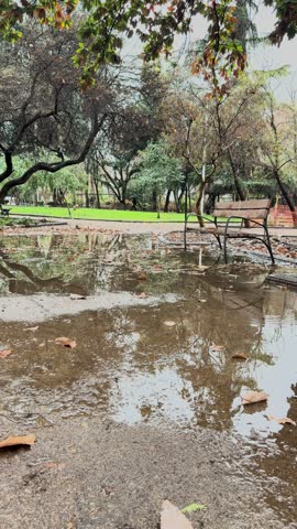 Flooded park and puddles after heavy rain