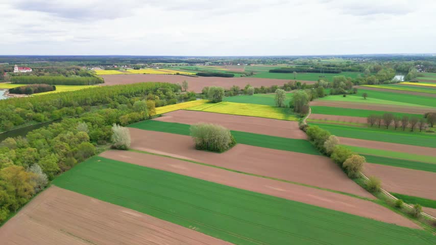 Wide panorama of patchwork farm fields stretching to a flat horizon under soft white clouds, yellow rapeseed and green crop strips framed by tree lines and a lone tree clump, concept of vast agricultural plains