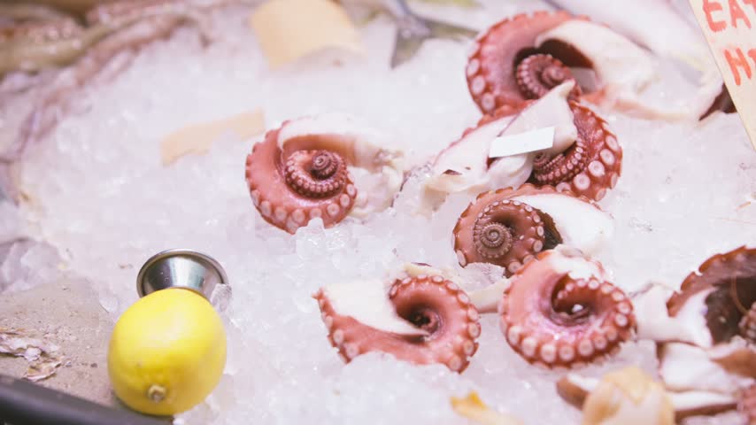 Captured in slow motion, a hand reaches across crushed ice to rearrange octopus tentacles at a seafood counter, withdraws, leaving the pink portions and suckers beside a lemon and handwritten cards.