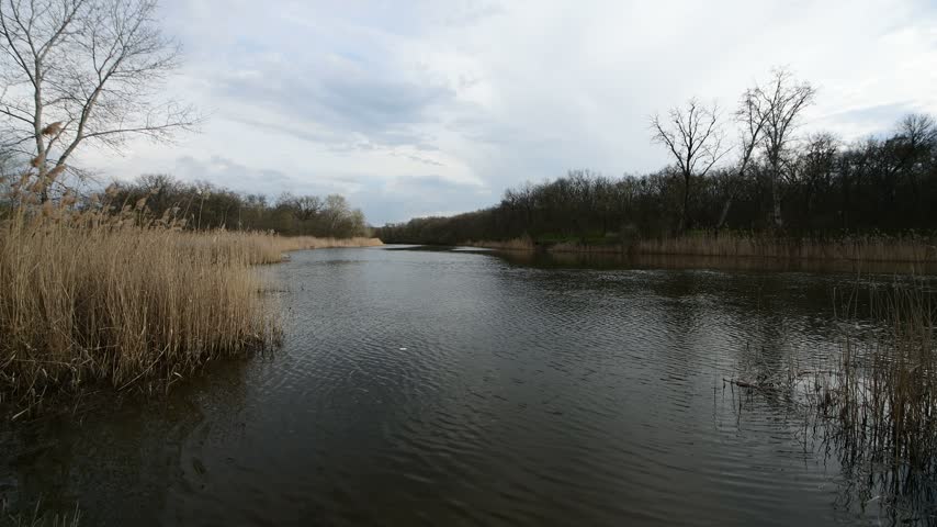 A forest landscape along the river in early spring, just after the snow and ice have melted.