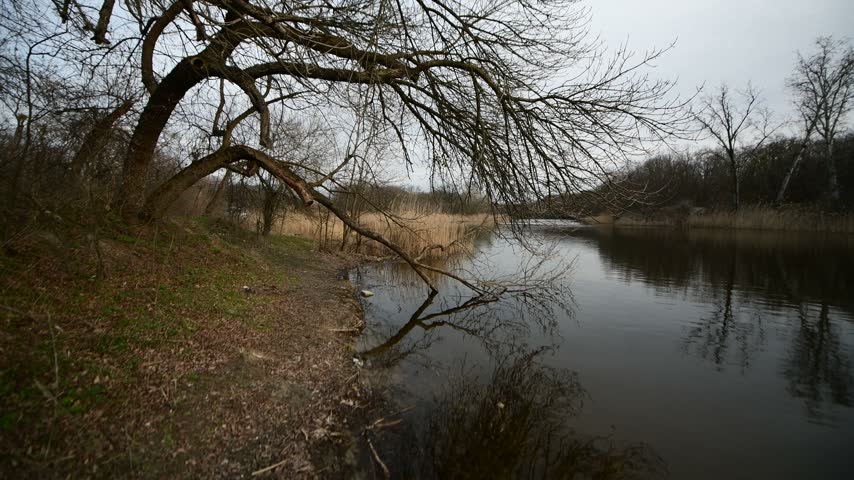 A forest landscape along the river in early spring, just after the snow and ice have melted.