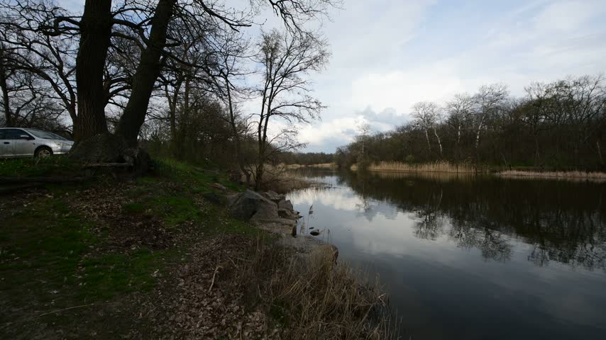 A forest landscape along the river in early spring, just after the snow and ice have melted.