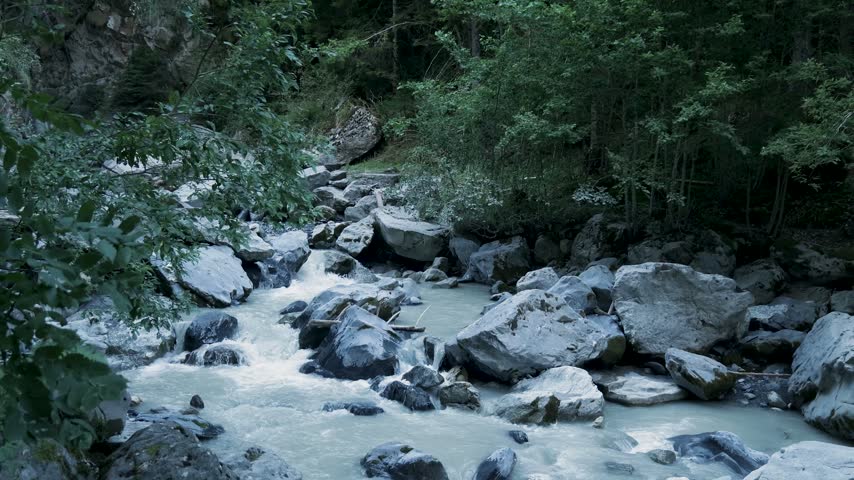 Milky glacial water stream flowing through a rocky riverbed in a dense green forest landscape. Switzerland