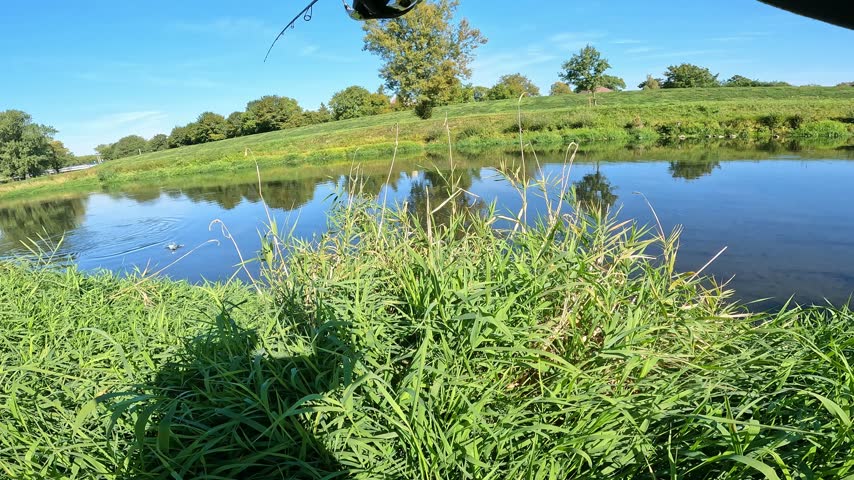 POV fisherman successfully catching a fish and pulling it into a landing net on a grassy river bank. Active sportfishing success concept.
