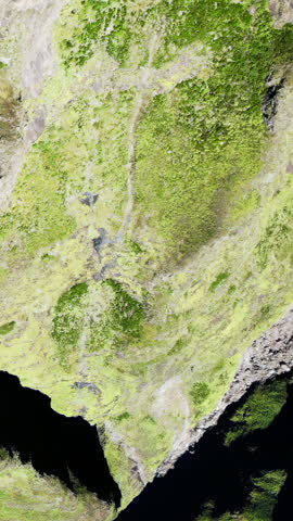 Aerial view of a moss-covered rock cliff