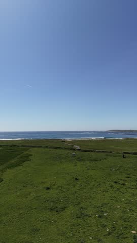 4K aerial view of a grassy coastal landscape with a narrow path leading toward the ocean under a clear blue sky during daytime.
