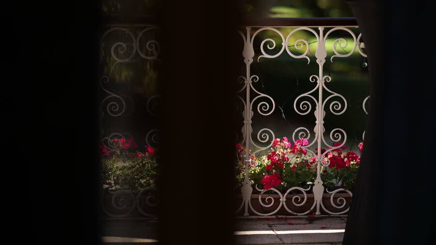 Close-up of an ornate white wrought-iron balcony railing with scrollwork, framed by shadow, overlooking pink geraniums in a terracotta planter and golden autumn foliage.