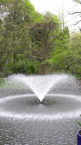 Fountain spraying water into a pond beneath leafy trees in a spring park, filmed vertically. Concept of calming water features, garden landscaping and relaxing outdoor recreation.