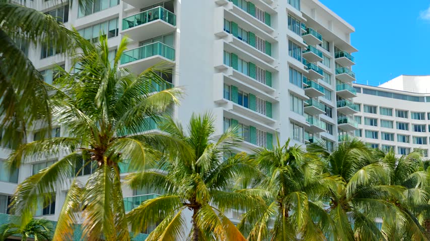 Palms and condos in Miami Beach