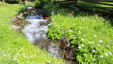narrow stream with rocks and green lawn on both sides Stock video
