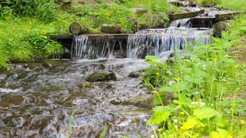 murmur of fresh mountain stream with a small waterfall in the grass Stock video