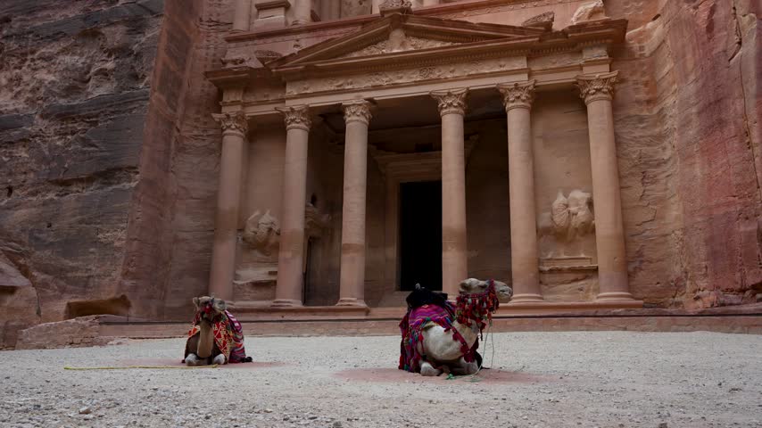 Pair of camels with traditional saddles lying down in front of Petra Treasury