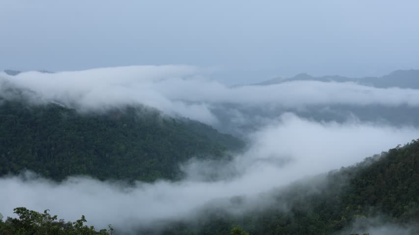 A misty mountain landscape with dense cloud, green forest, layered ridge, pale blue sky, tranquil nature wilderness, atmospheric fog and mist drifting across calm valley beneath overcast skies