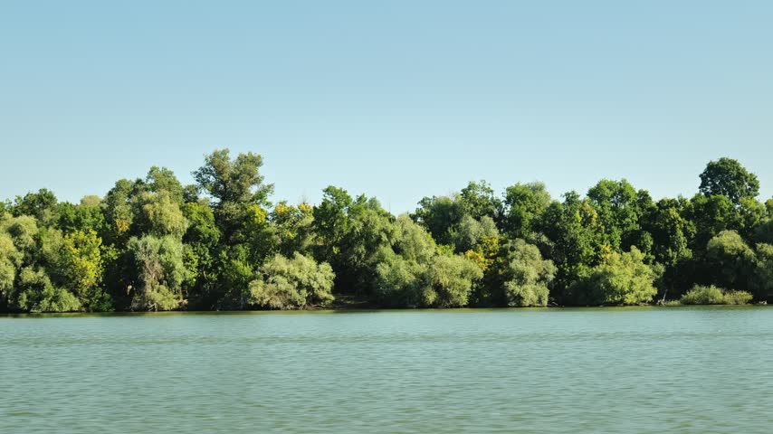 POV boat journey along the main waterways of the Sfântu Gheorghe Channel in Romania