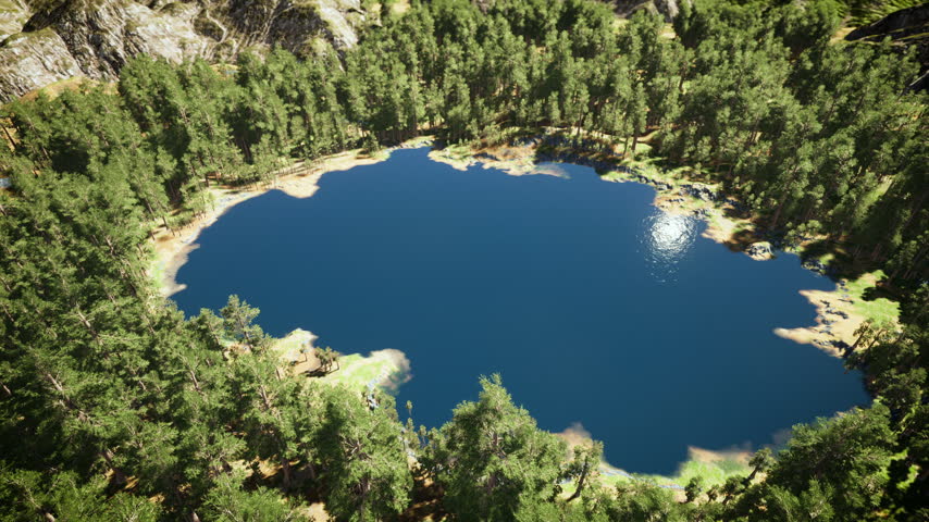 Aerial View of a Sunlit Blue Lake Surrounded by Dense Green Pine Forest