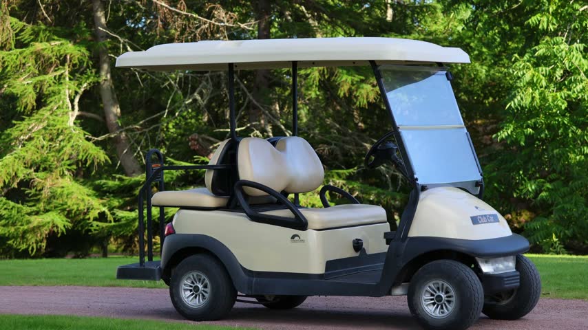 Golf Cart Parked in a Yard