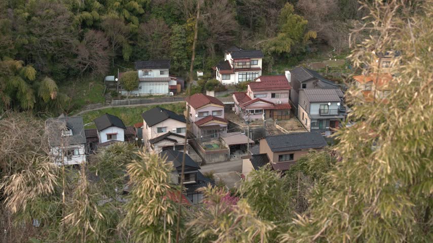 High-angle view of rural Japanese residential houses nestled in a valley, framed by bamboo foliage.