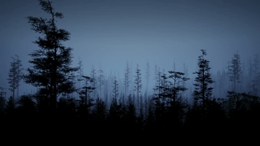 Moody evergreen forest shrouded in thick blue twilight mist, with dark silhouettes stretching across a deep, cool woodland landscape.