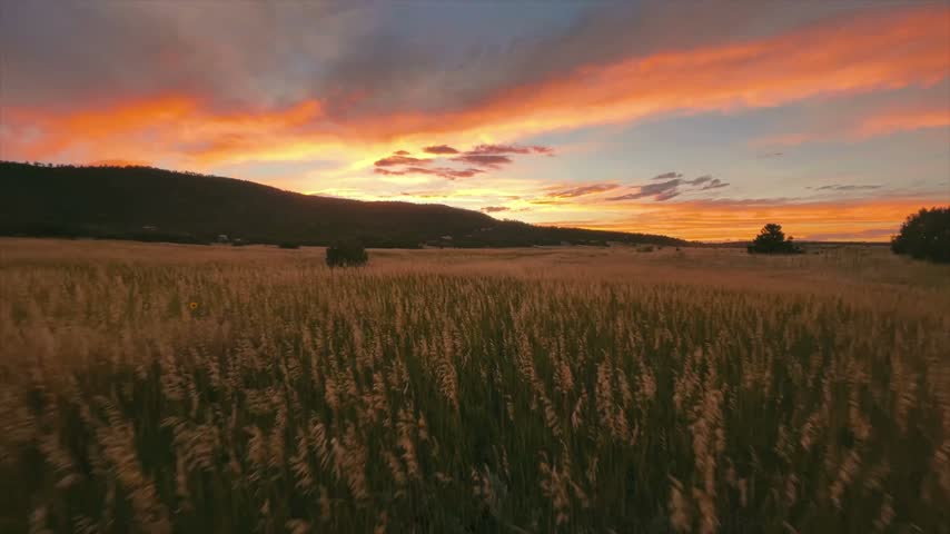 Scenic view of sunset illuminating a grassy field. The bright colors in the sky contrast with dark hills. This natural landscape showcases evening beauty with dynamic hues.