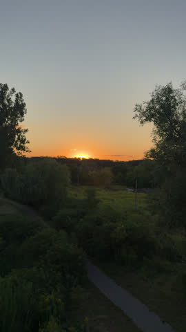 Stunning orange sunset over a dark forest tree line with a path below in vertical format