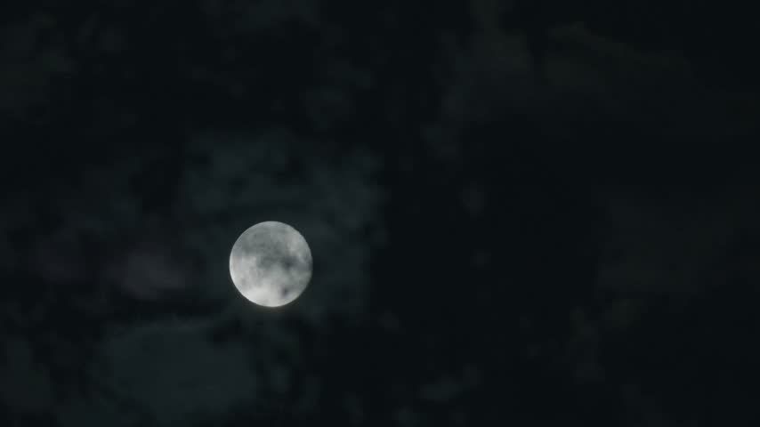 Bright full moon shines clearly behind moving dark clouds during quiet night time atmosphere with silhouette tree branches in nature background providing peaceful astronomical evening light display.