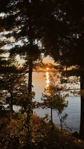 Golden sunset over a calm lake viewed through pine trees in a natural forest setting