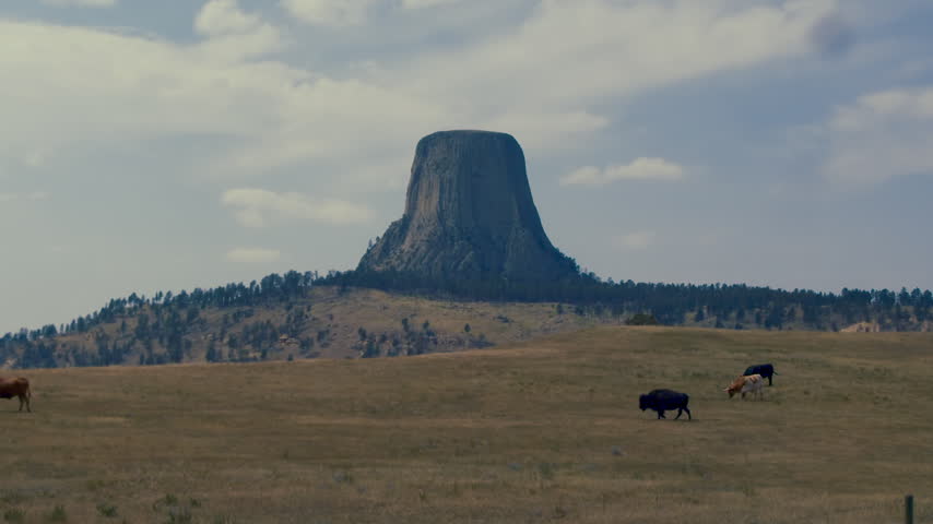 A Scenic View Of Devils Tower In Wyoming From Afar.